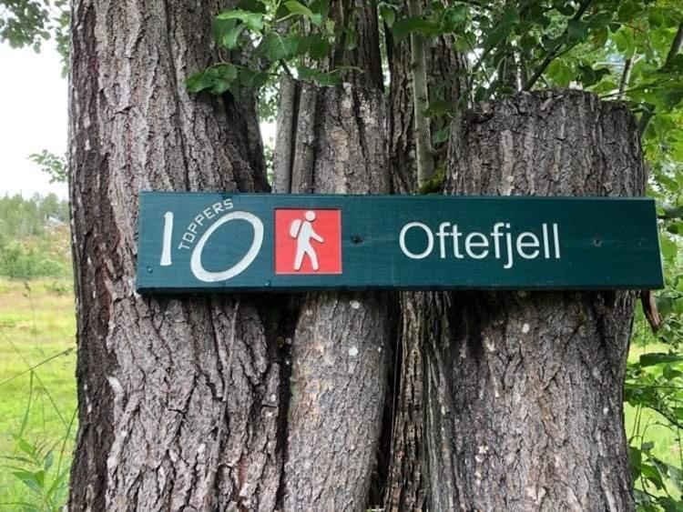 Sjarmerende Overnatting Sentralt I Vest-Telemark Hoydalsmo المظهر الخارجي الصورة